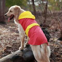 Splash-Proof Red Yellow- Dog Raincoat