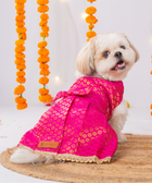 Festive Brocade Dog Dress (Pink)
