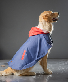 Cape Style Cornflower Blue- Dog Raincoat