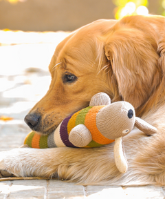 Long Plush Dog Toy