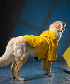 Full-Coverage Dog Raincoat: Orange-Blue