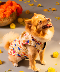 Embroidered Dog Kurta Beige