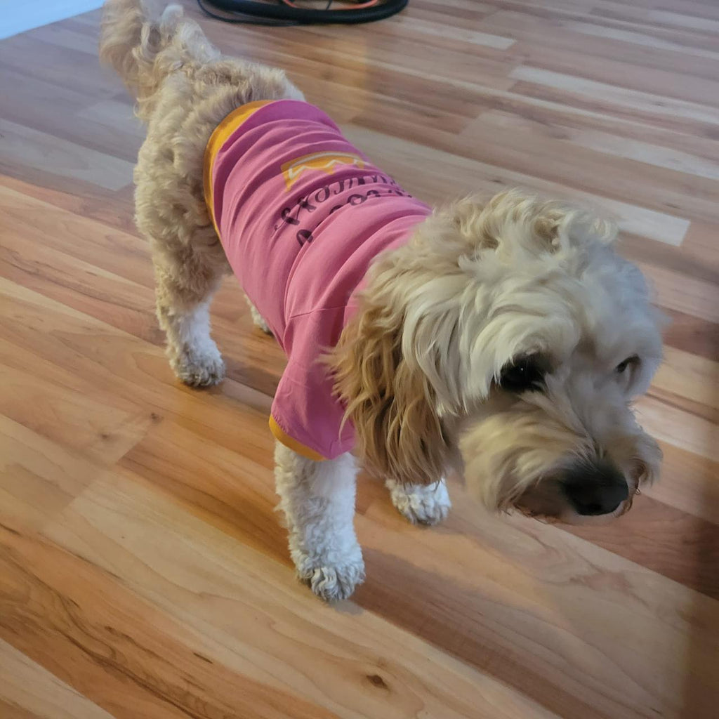 Pet Set Go - Pet Clothing, Pet Toys and Pet T-shirts