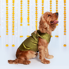 Dog Kurta with Pocket Square Green