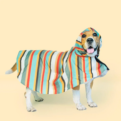 Dinosaur Printed Cape Style Dog Raincoat