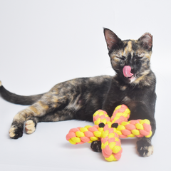 Pack of 3 Rope toys