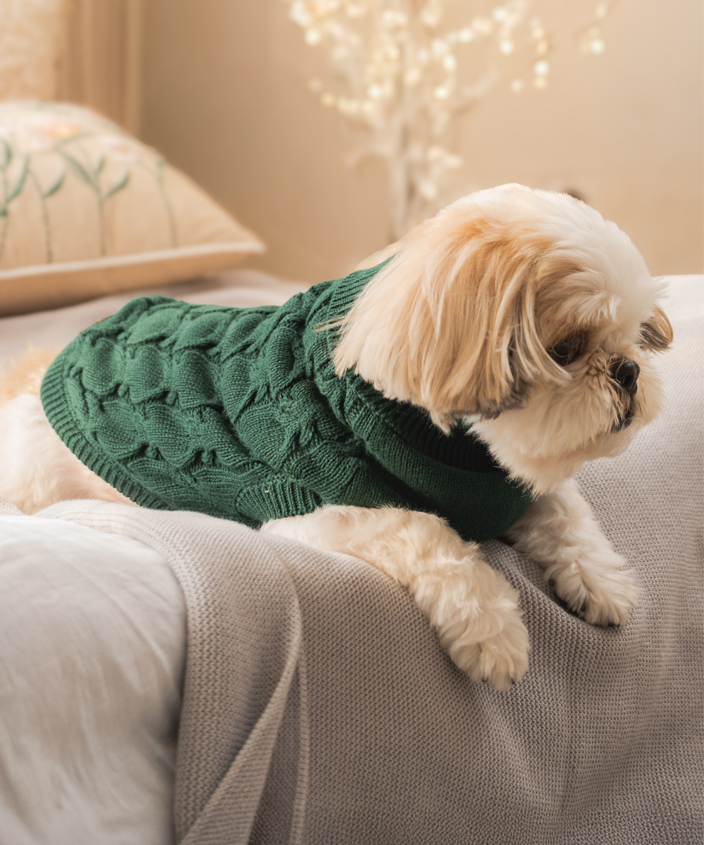 Jingle Dog sweaters Pack of
