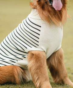 Classic Stripe Knit Sweater
