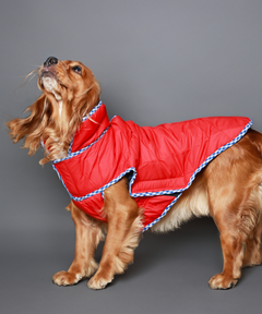 Dog Jacket