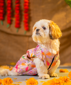 Dog Kurta with Bowtie Purple