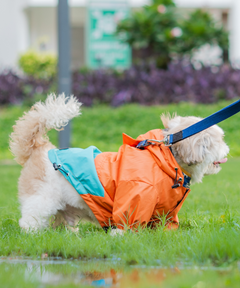 Full-Coverage Dog Raincoat: Orange-Blue