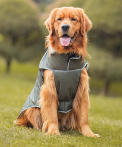 Dog Jacket