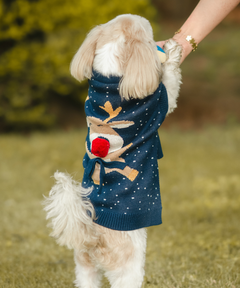 Chilly Dog sweaters Pack of 2