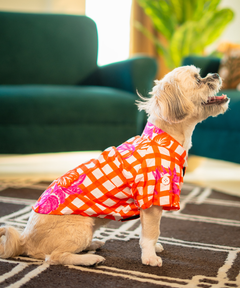 Gingham Garden Shirt
