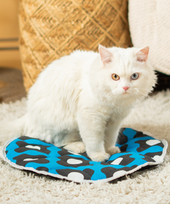 Cat Mat