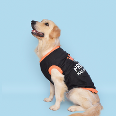 Prince has arrived Dog T-shirt