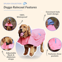 Drizzle Dog Raincoats Pack of 2