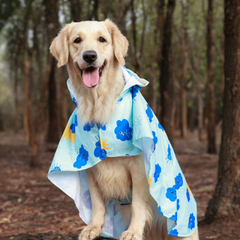 Dinosaur Printed Cape Style Dog Raincoat