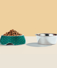 2-in-1 Melamine Dog Bowl Hearts