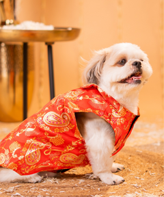 Dog Kurta with Bowtie Red