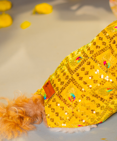 Dog Kurta Yellow