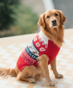 Red Snuggle Sweater
