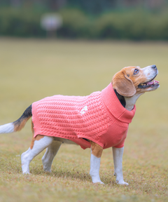 Peach Cable Knit Sweater