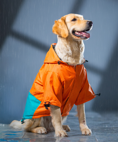 Drizzle Duo Raincoats Pack of 2