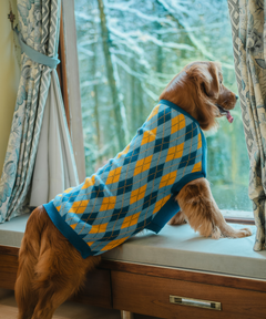 Checks Knit Dog Sweater