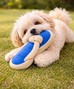 Plush Slipper Dog Toy