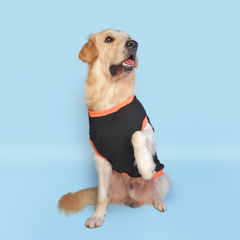 Prince has arrived Dog T-shirt
