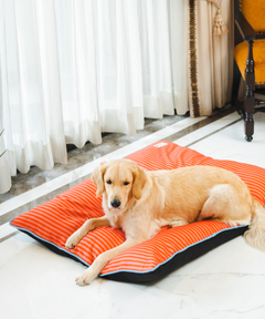 Duo Dreamer Pillow Bed (Orange)