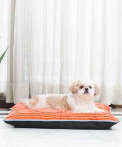 Duo Dreamer Pillow Bed (Orange)