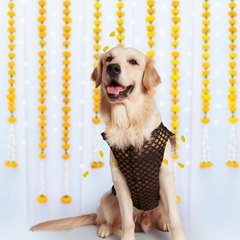 Dog Kurta with Pocket Square Black