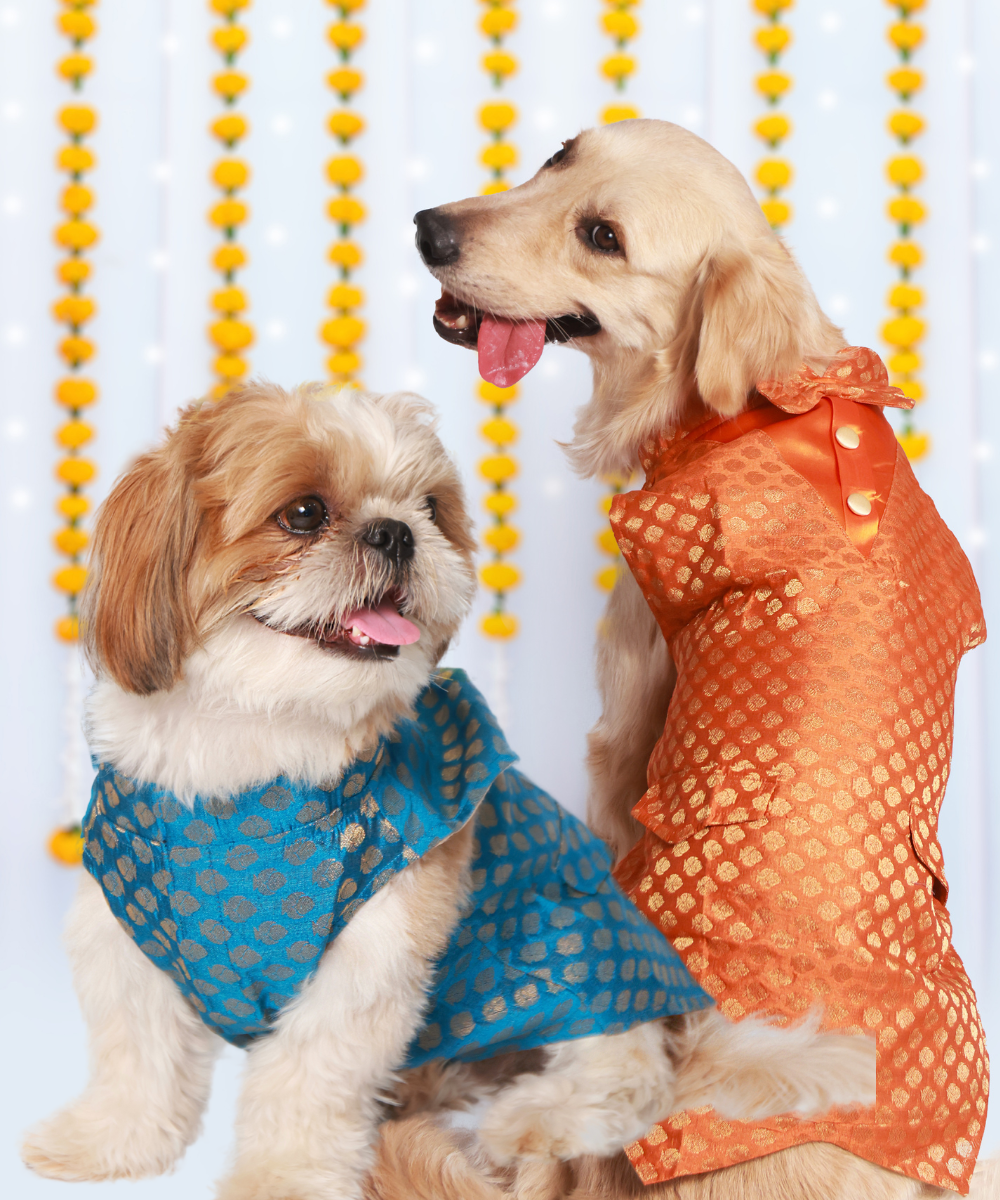 golden retriever dress Dog Buy Dog Clothes – Stylish, Comfortable Affordable At Pet Set Go golden retriever fancy dress