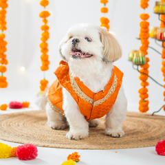 Pet Set Go Dog Kurta (Bright Orange)