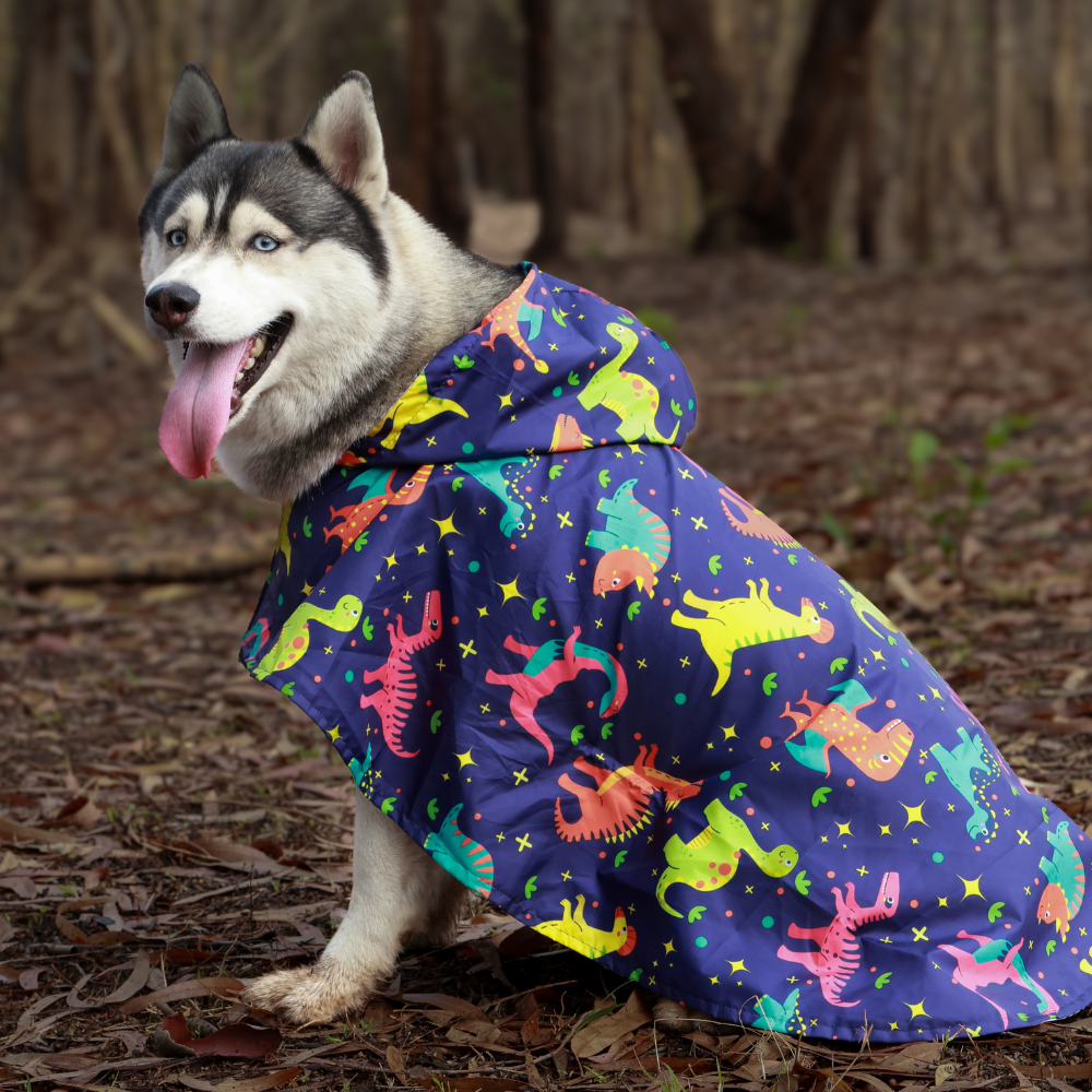 Dinosaur Printed Cape Style Dog Raincoat Pet Set Go