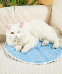 Cat Mat