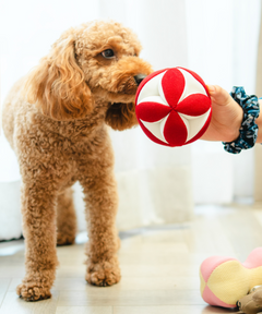 Clutch Ball Plush Dog Toy Red-White