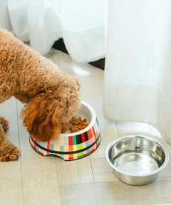 2-in-1 Melamine Dog Bowl Abstract