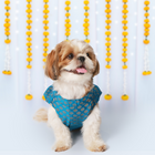 Dog Kurta with Bowtie Blue