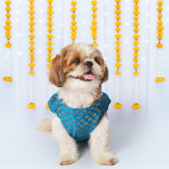 Dog Kurta with Bowtie Orange