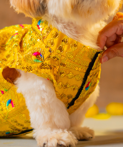 Dog Kurta Yellow