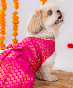 Festive Brocade Dog Dress (Pink)