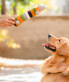 Long Plush Dog Toy