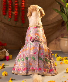 Purple Dog Dress