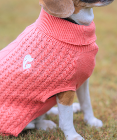 Cozy Dog sweaters Pack of 2