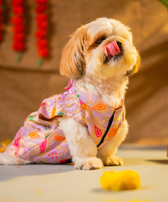 Dog Kurta with Bowtie Purple
