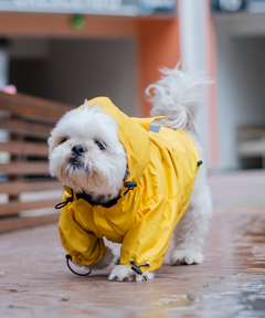 Full-Coverage Dog Raincoat- Yellow
