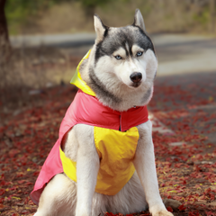 Splash-Proof Red Yellow- Dog Raincoat